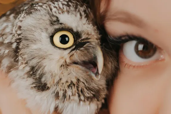 Paradise Kasyno Wsparcie